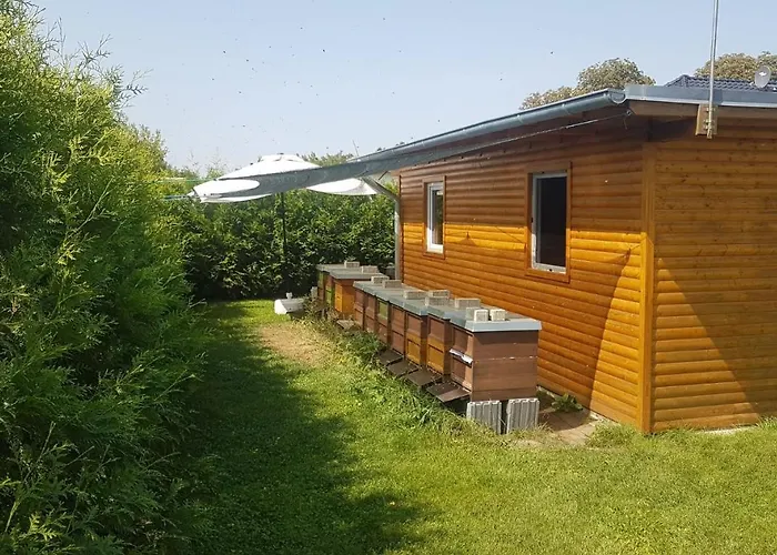 Zum Imker بيت للعطل فيلتين